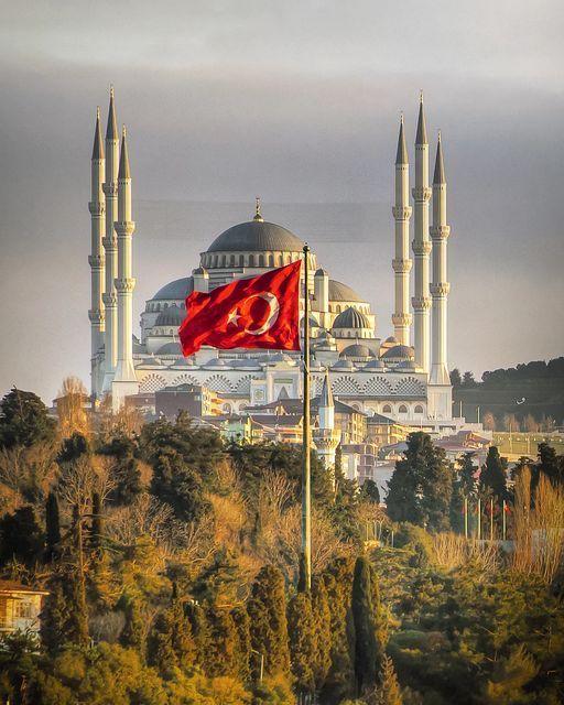 Туреччина та G20: як Анкара підтримує пригноблені народи